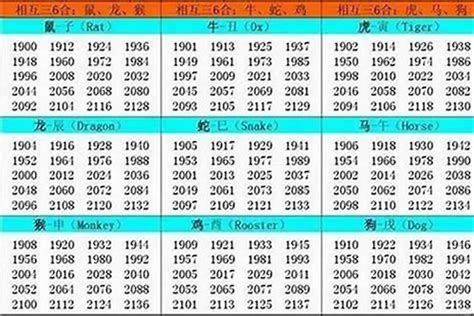 1994年是什么命|1994年是什么命